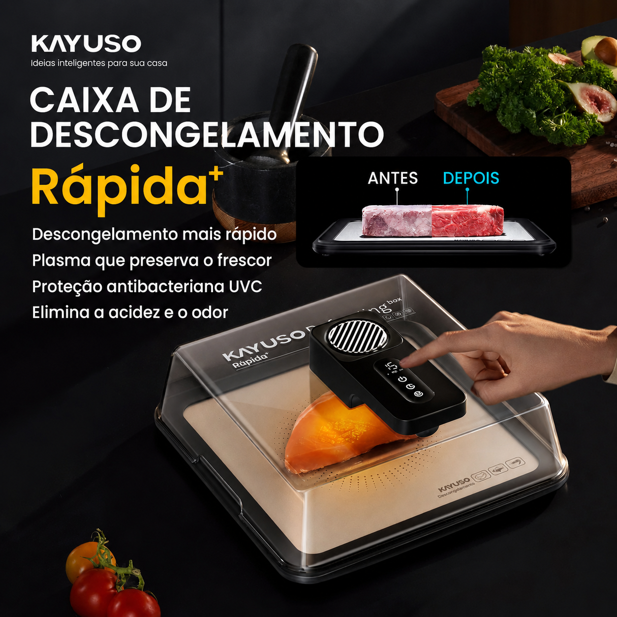 KAYUSO Quick Defrost Box
